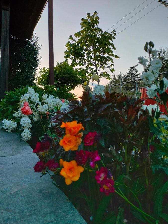 Adam'S Holiday House 2019 Kariani Exterior foto