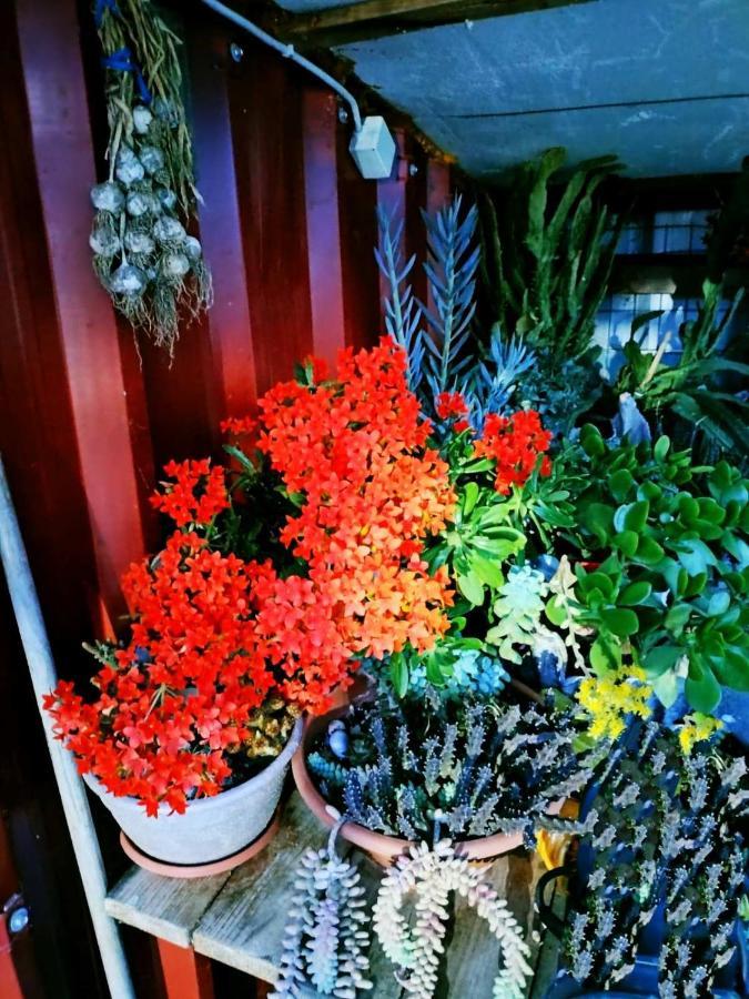Adam'S Holiday House 2019 Kariani Exterior foto